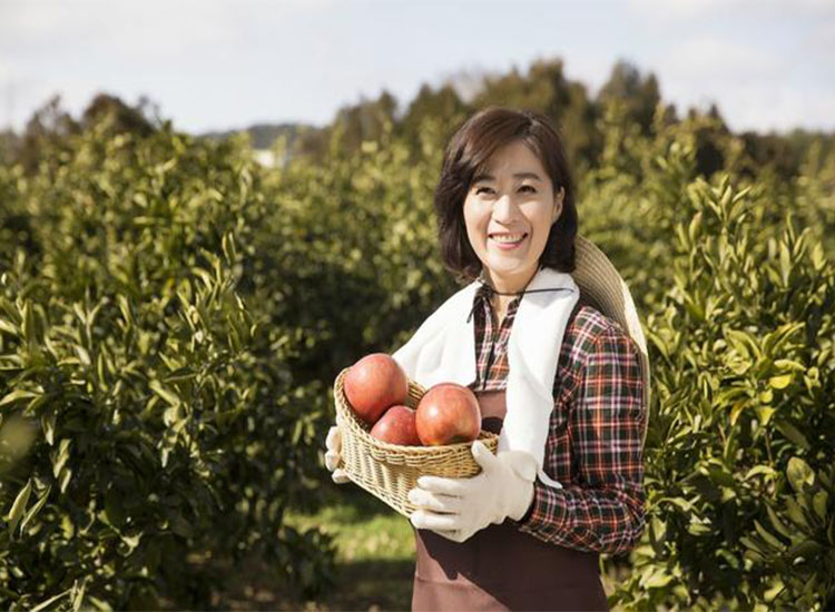 【潤康】磨煤機(jī)磨輥與您分享：互聯(lián)網(wǎng)巨頭紛紛賣菜，農(nóng)民會(huì)不會(huì)被“割韭菜”？